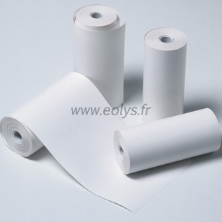 Boîte de 10 rouleaux de papier en largeur 112 mm pour MicroLab®