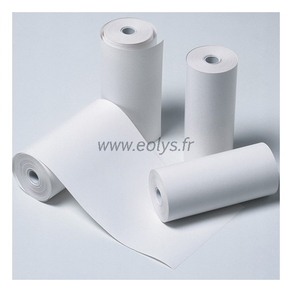 Boîte de 20 rouleaux de papier thermique pour imprimante Able AP1300 - Eolys